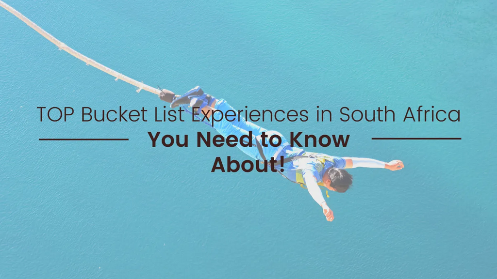 TOP Bucket List Experiences in South Africa You Need to Know About!