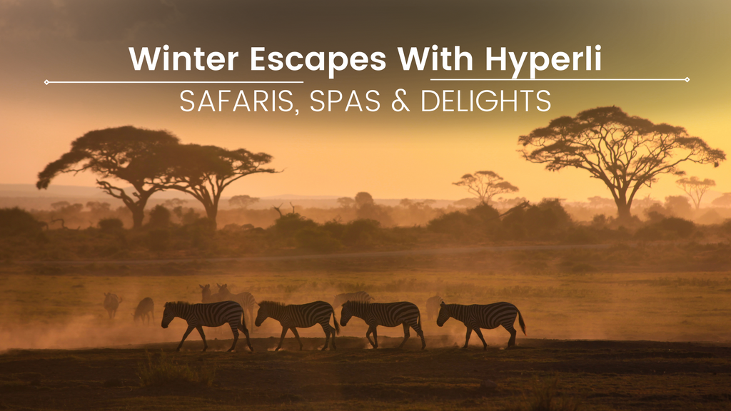 Winter Escapes with Hyperli: Safaris, Spas & Delights
