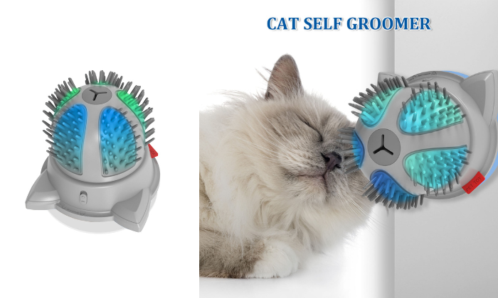 Pet cat self deals groomer
