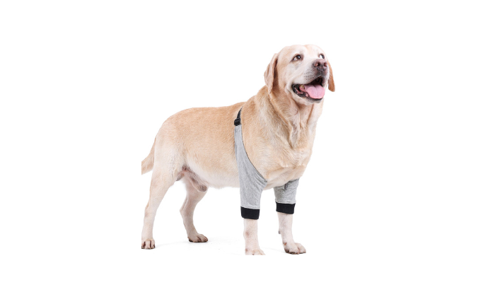 Canine elbow protective sleeve hot sale