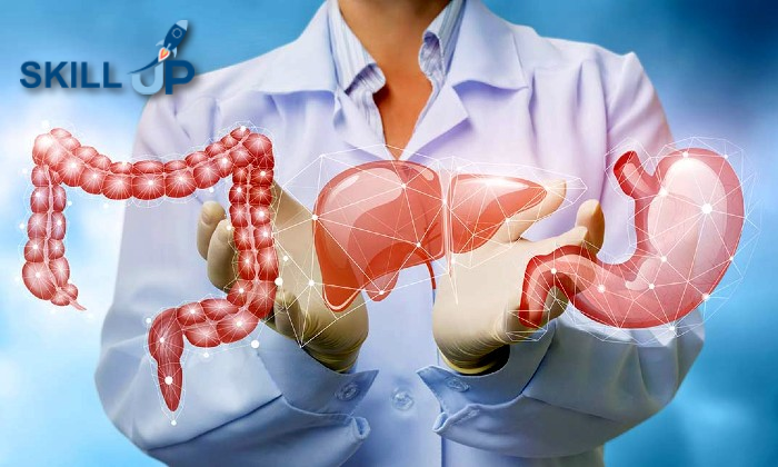 Level 3 Diploma in Anatomy and Physiology of Human Body – Hyperli