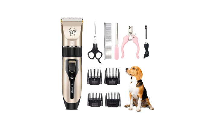 Clipper ship pet sales grooming