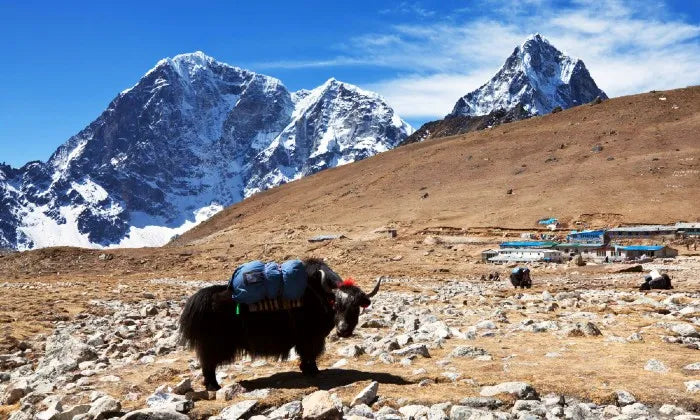 nepal-17-day-manaslu-circuit-trekking-via-larke-la-pass
