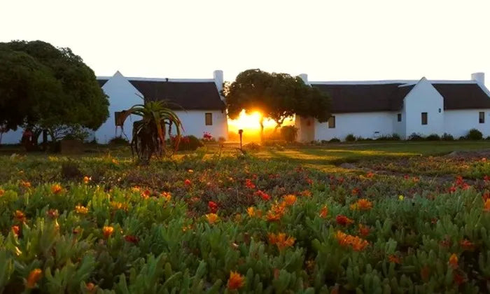 western-cape-2-night-anytime-stay-for-two-including-breakfast-at-draaihoek-lodge