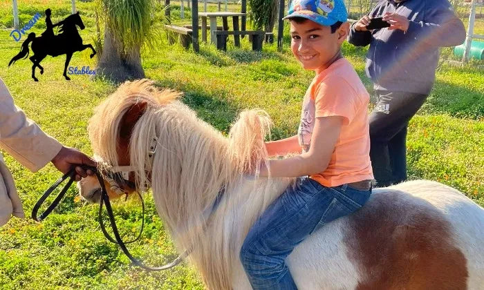 Riding little shop pony