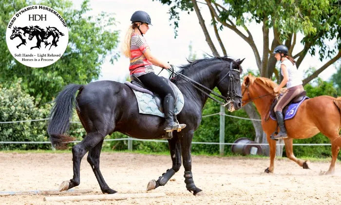 horse-riding-lesson