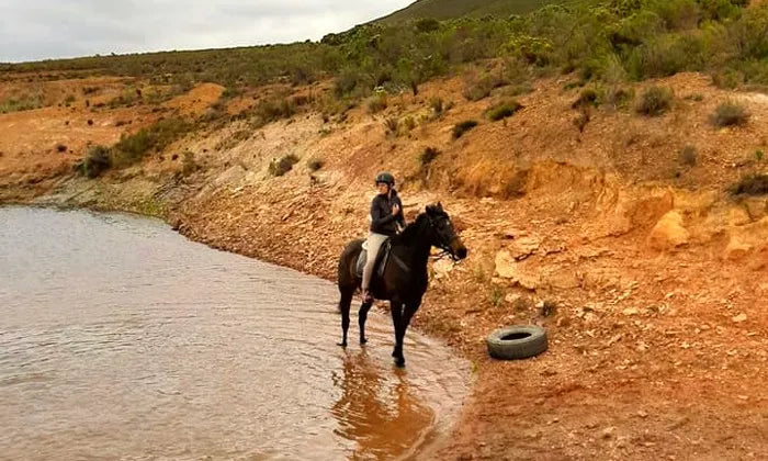swim-with-horses-experience-at-honingklip-equestrian