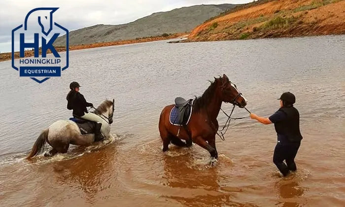 swim-with-horses-experience-at-honingklip-equestrian