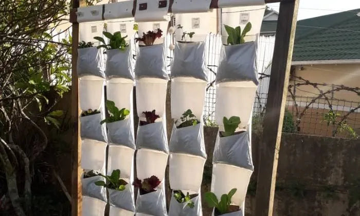 grow-your-own-vertical-veg-patch-at-home-with-agri-urb-grow-kits-delivered-to-your-door