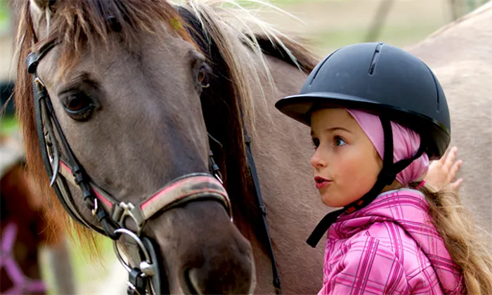 30-minute-pony-ride-for-kids