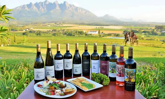 wine-tasting-experience-for-up-to-four-with-a-r100-off-a-theater-of-wine-pack-from-vdc-eat-pty-ltd